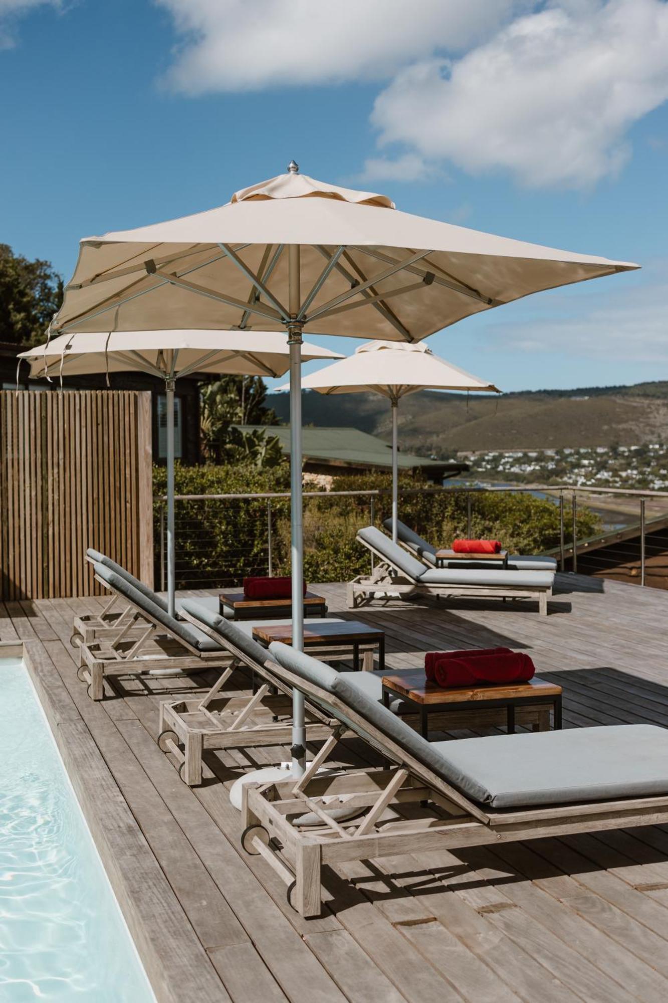 Elephant Hide Of Knysna Guest Lodge Eksteriør billede