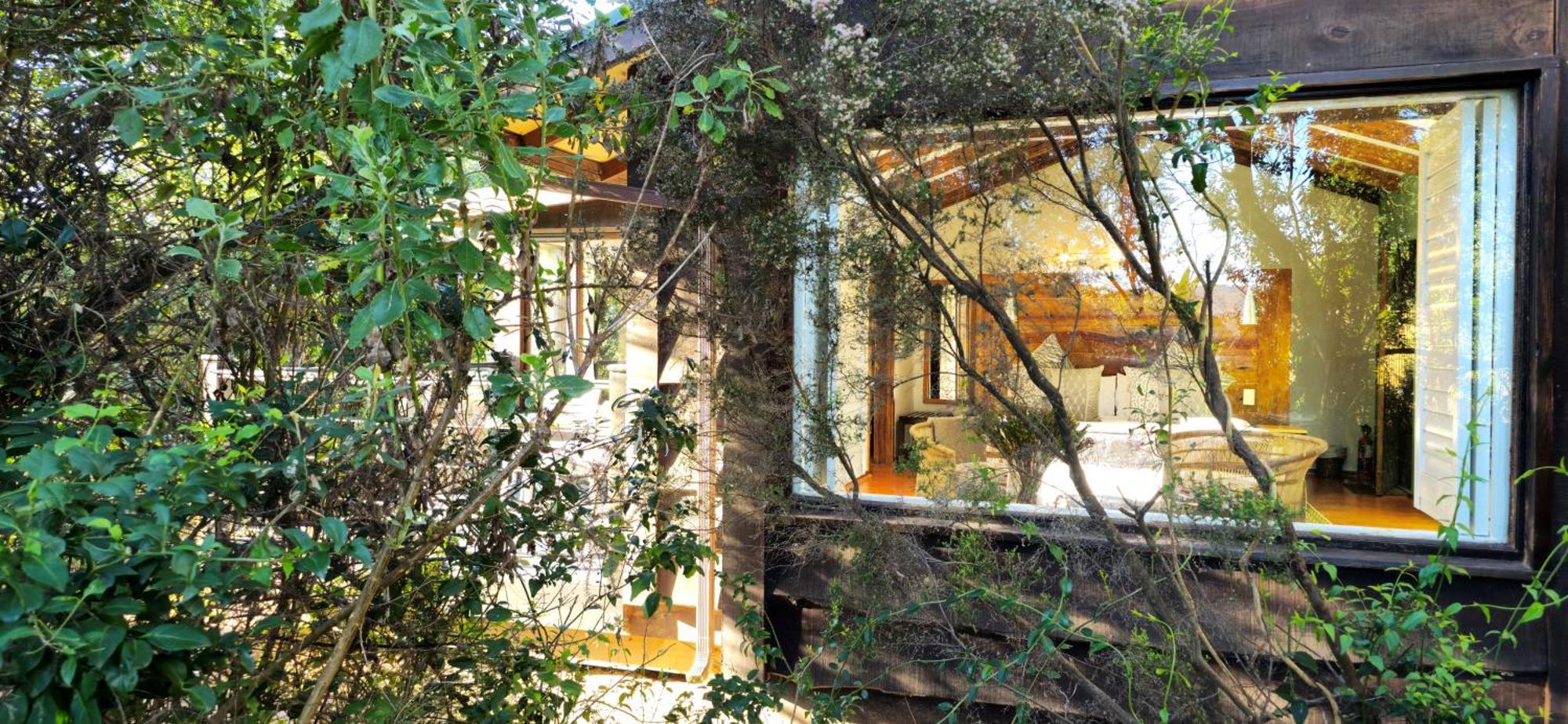 Elephant Hide Of Knysna Guest Lodge Eksteriør billede