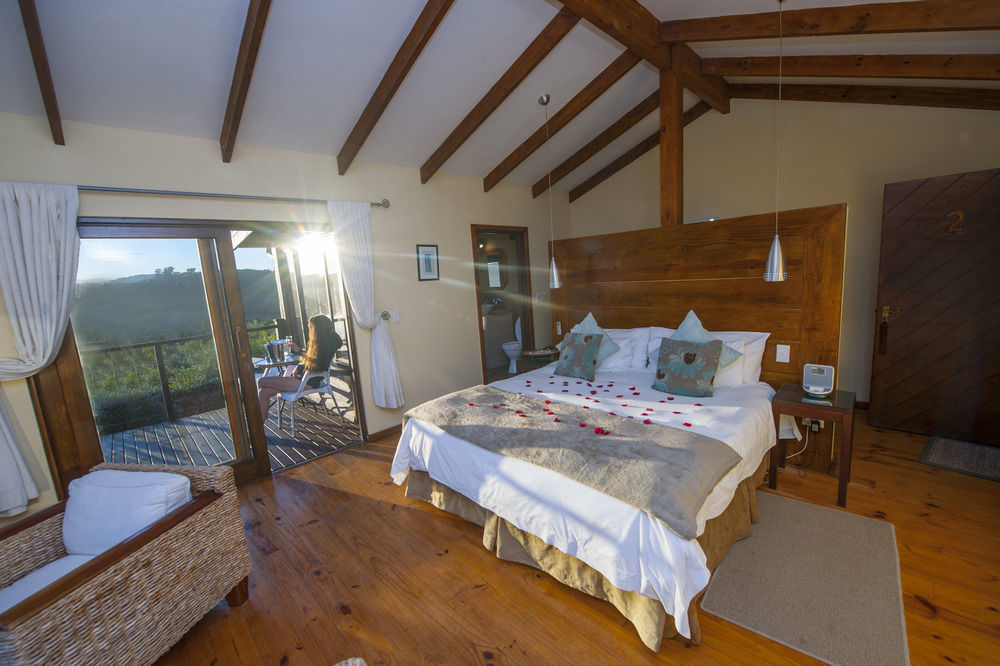 Elephant Hide Of Knysna Guest Lodge Eksteriør billede
