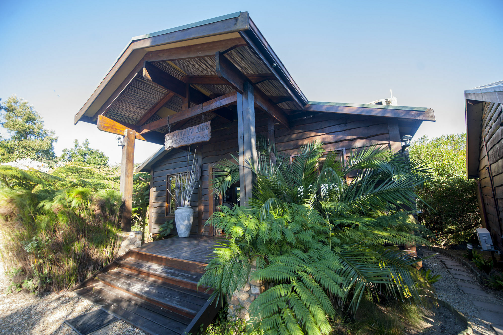 Elephant Hide Of Knysna Guest Lodge Eksteriør billede