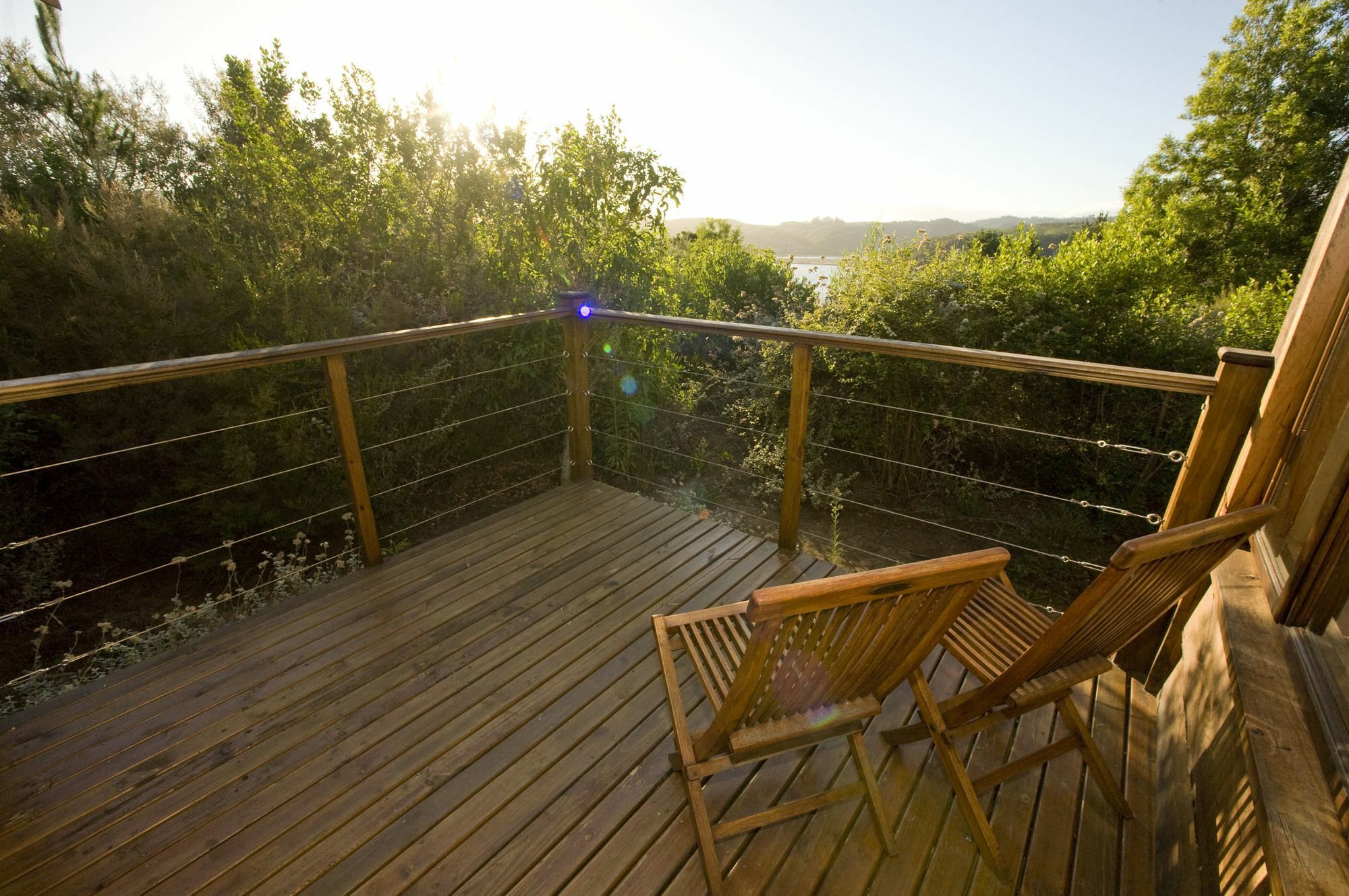 Elephant Hide Of Knysna Guest Lodge Eksteriør billede