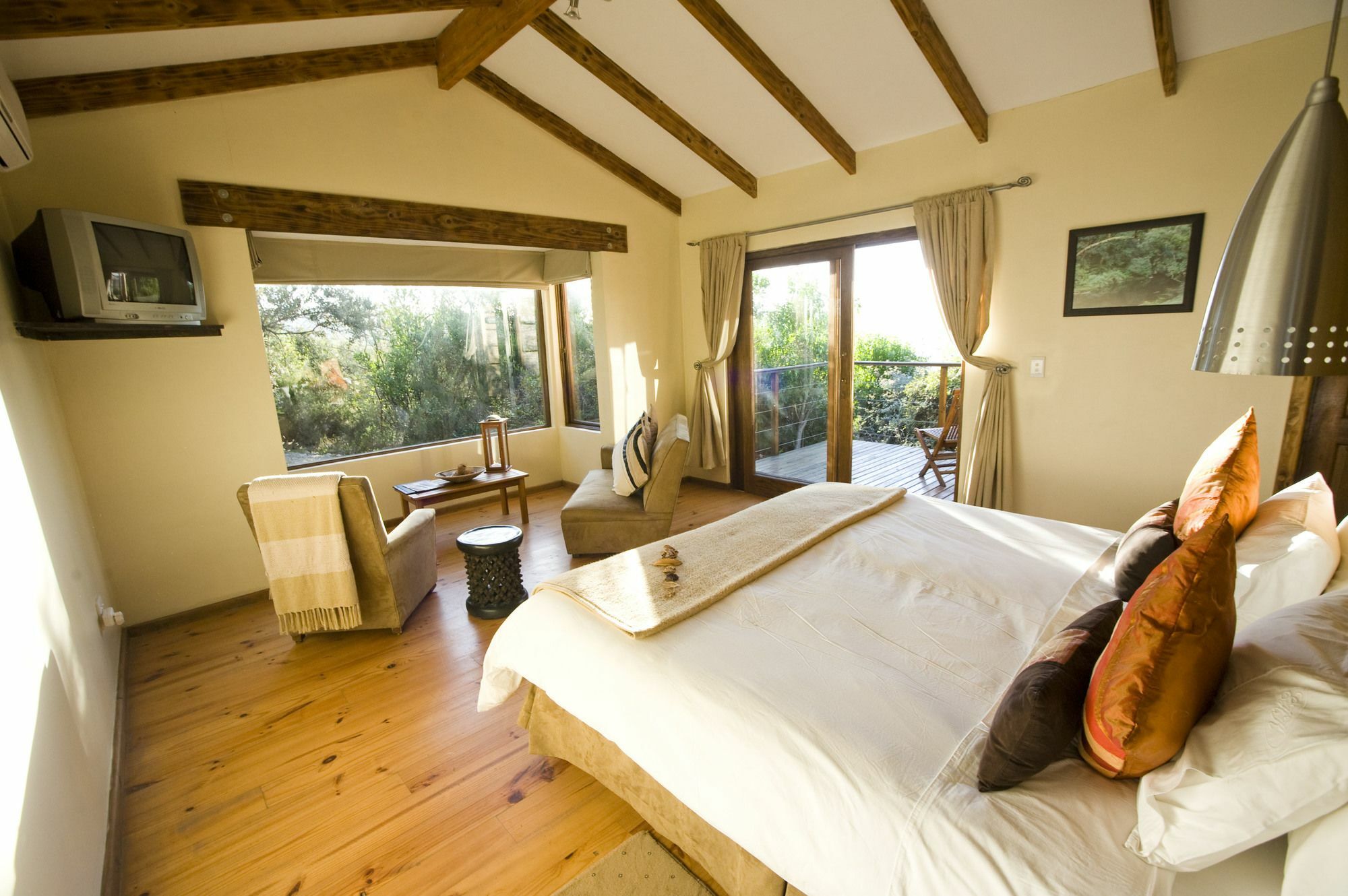 Elephant Hide Of Knysna Guest Lodge Eksteriør billede
